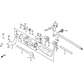 GEARSHIFT DRUM + GEARSHIFT ARM