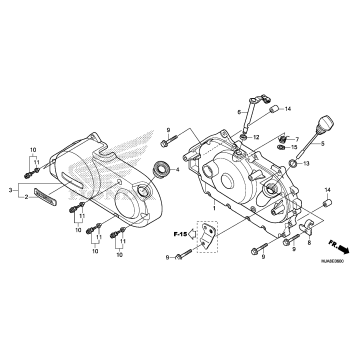 RIGHT CRANKCASE COVER
