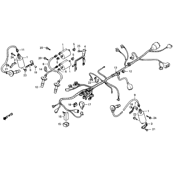 WIRE HARNESS + IGNITION COIL