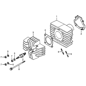 CYLINDER HEAD + CYLINDER