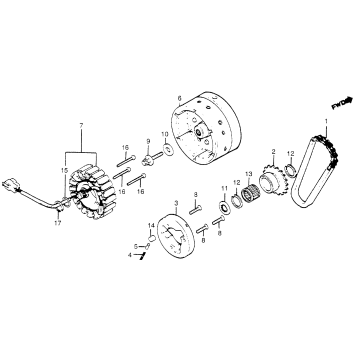 ALTERNATOR + STARTER CLUTCH