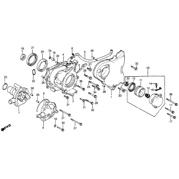 LEFT CRANKCASE COVER + WATER PUMP
