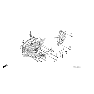 LEFT CRANKCASE COVER (1)