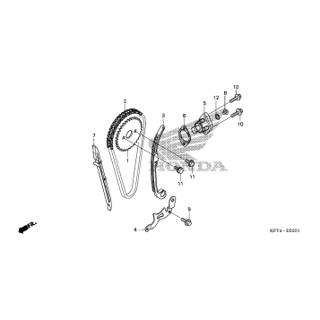 CAM CHAIN + TENSIONER (2)