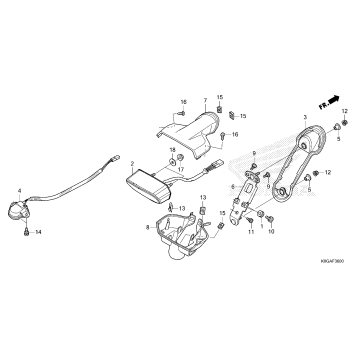 TAILLIGHT@LICENSE LIGHT