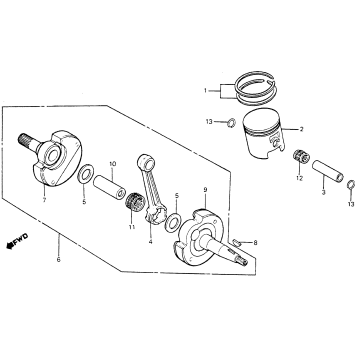CRANKSHAFT + PISTON 81-82