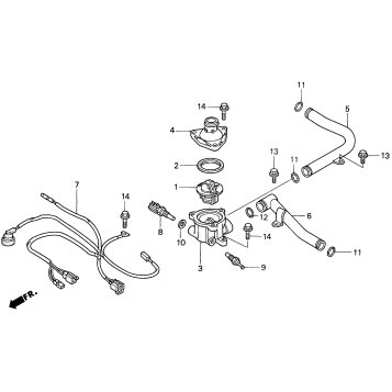 WATER PIPE + THERMOSTAT