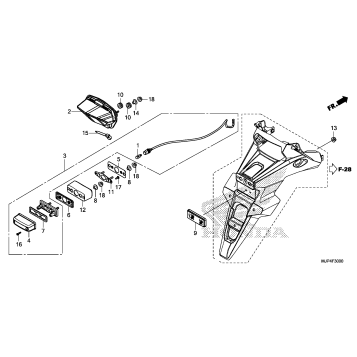 TAILLIGHT@LICENSE LIGHT