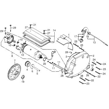 STARTER MOTOR + CRANKCASE COVER