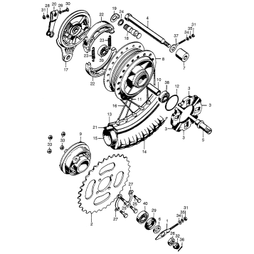 REAR WHEEL + BRAKE PANEL