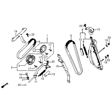CAM CHAIN + TENSIONER