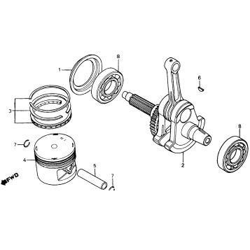 CRANKSHAFT + PISTON 83-84