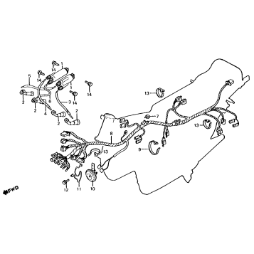 WIRE HARNESS + IGNITION COIL
