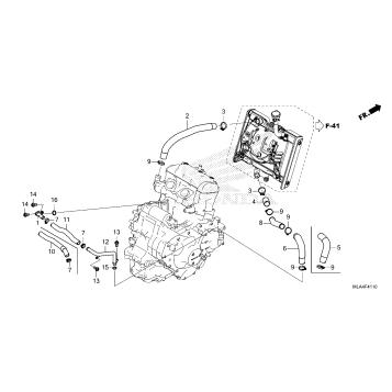RADIATOR HOSE@WATER PIPE