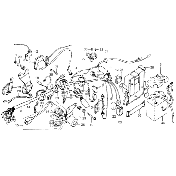 WIRE HARNESS + IGNITION COIL