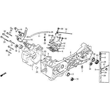 CRANKCASE + OIL PUMP