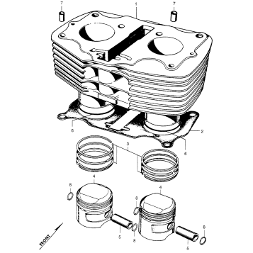 CYLINDER + PISTON
