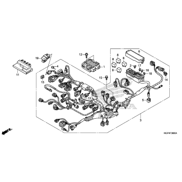 WIRE HARNESS             (1)