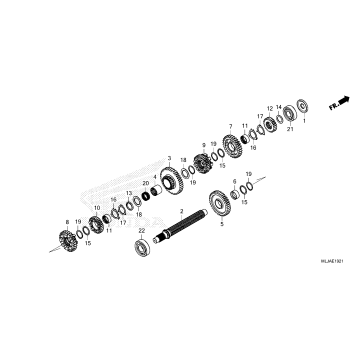 TRANSMISSION             (COUNTERSHAFT) (DCT)