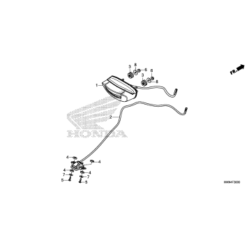 TAILLIGHT@LICENSE LIGHT