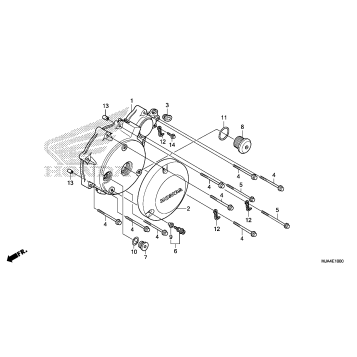 LEFT CRANKCASE COVER (1)