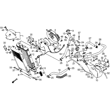 RADIATOR + THERMOSTAT