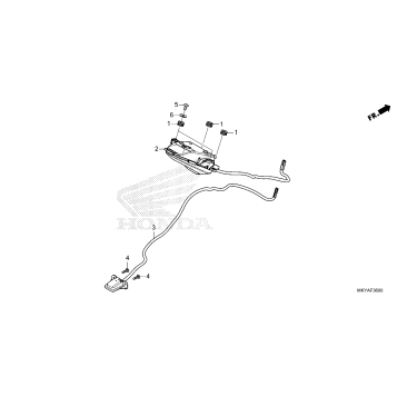 TAILLIGHT@LICENSE LIGHT