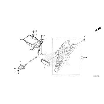 TAILLIGHT@LICENSE LIGHT