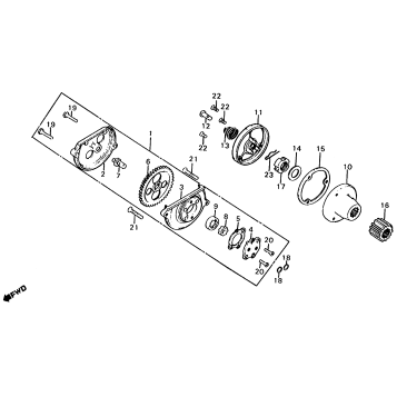 OIL PUMP + OIL FILTER