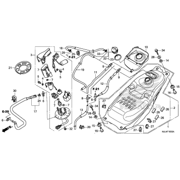 FUEL TANK + FUEL PUMP