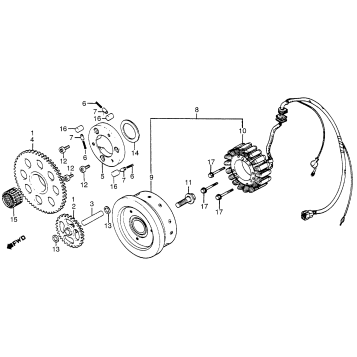 ALTERNATOR + STARTER CLUTCH
