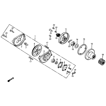 OIL PUMP + OIL FILTER