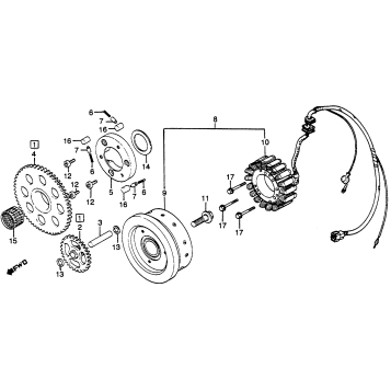 ALTERNATOR + STARTER CLUTCH