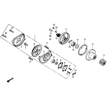 OIL PUMP + OIL FILTER