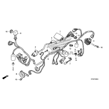 WIRE HARNESS + IGNITION COIL