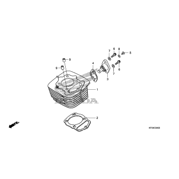 CYLINDER + TENSIONER