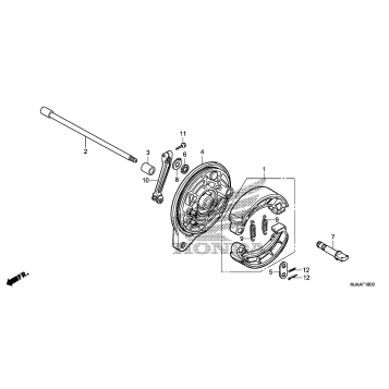 REAR BRAKE PANEL (1)