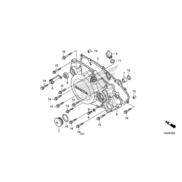 RIGHT CRANKCASE COVER
