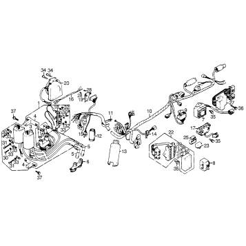 WIRE HARNESS + IGNITION COIL + HORN