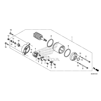 STARTING MOTOR (2)