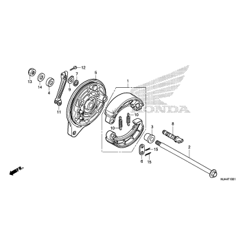 REAR BRAKE PANEL (2)