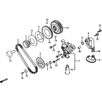 OIL PUMP + PRIMARY DRIVE GEAR