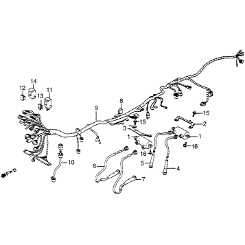 WIRE HARNESS + IGNITION COIL