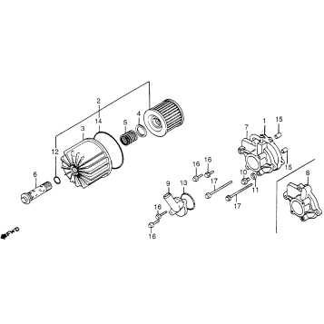 OIL FILTER + WATER PUMP COVER