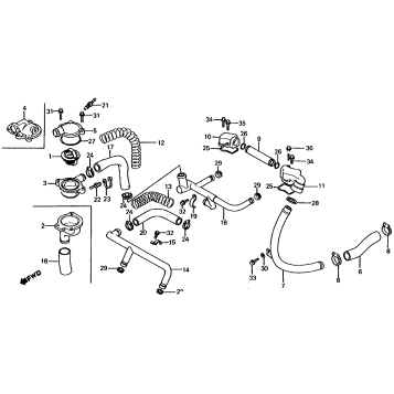 WATER PIPE + THERMOSTAT