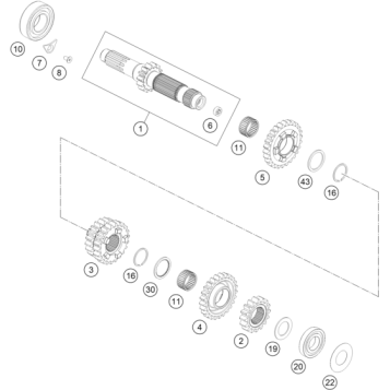 TRANSMISSION I - MAIN SHAFT