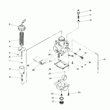Carburetor Assembly (4913491349034A)