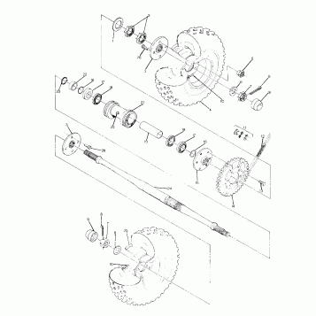 Rear Wheel Drive Assembly (4915951595021A)