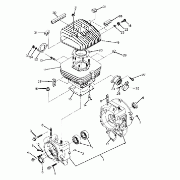 Crankcase and Cylinder Assembly (4916341634032A)