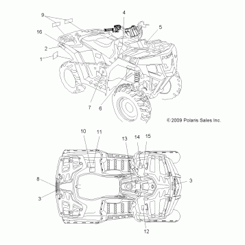 BODY, DECALS - A11LB27AA (49ATVDECAL10HAWK)